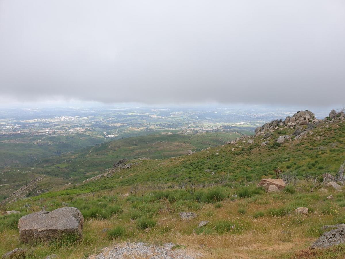 Casa Dos Cisnes - Serra Da Estrela - Sao Paio - Gouveia - Portugal Eksteriør bilde